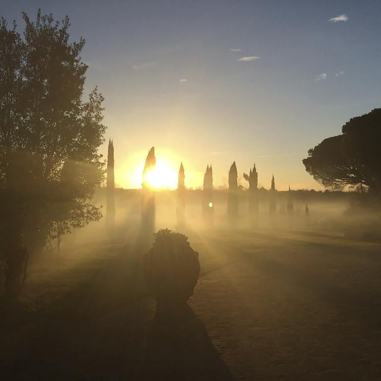 Podere Il Giurato Fauglia Екстериор снимка